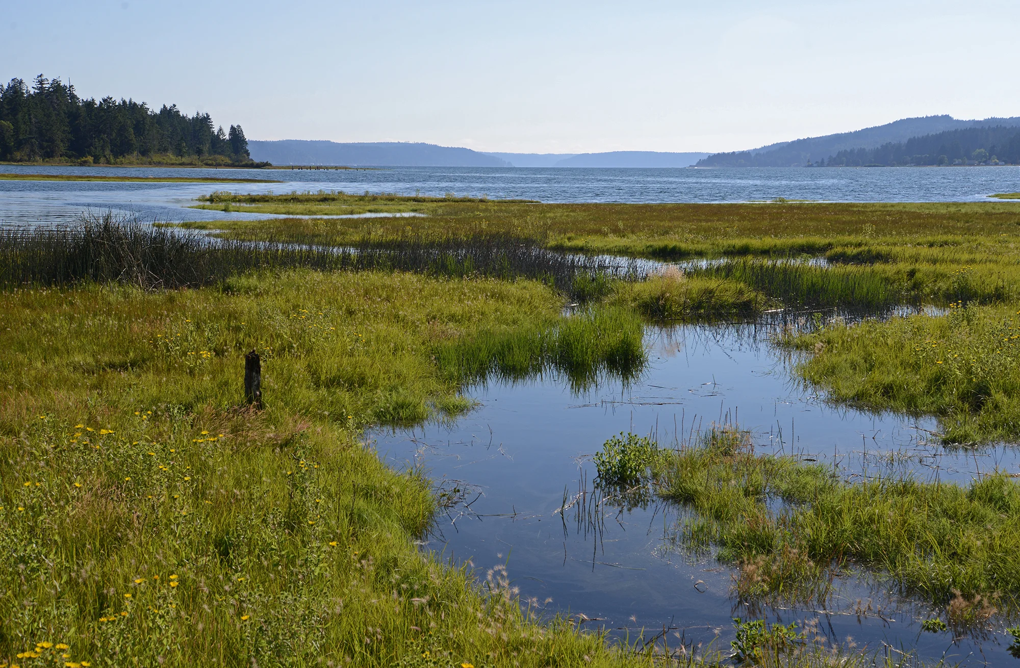Theler Wildlife Refuge