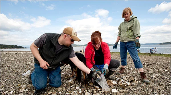 Shellfish Gathering