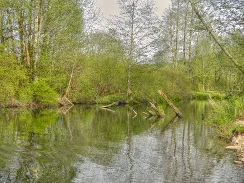 George Adams Salmon Hatchery