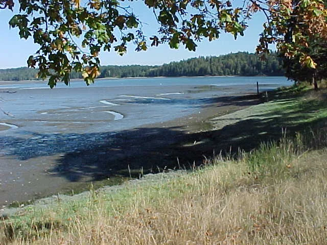 Oakland Bay