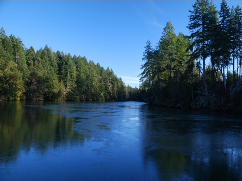 Jarrell Cove State Park (Copy)