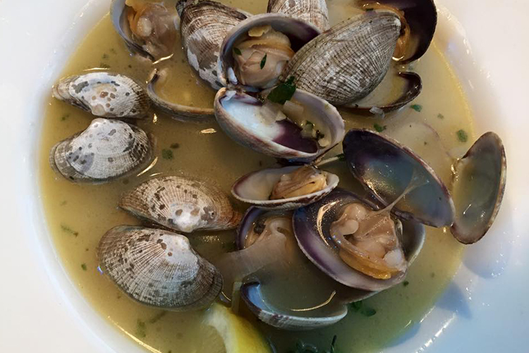 hood-canal-itinerary-taylore-shellfish-clams-shelton-wa.jpg