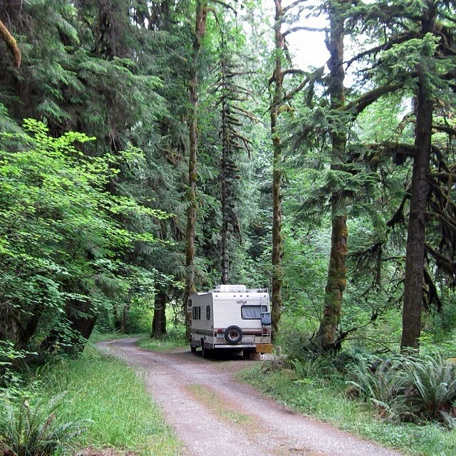 Collins Campground