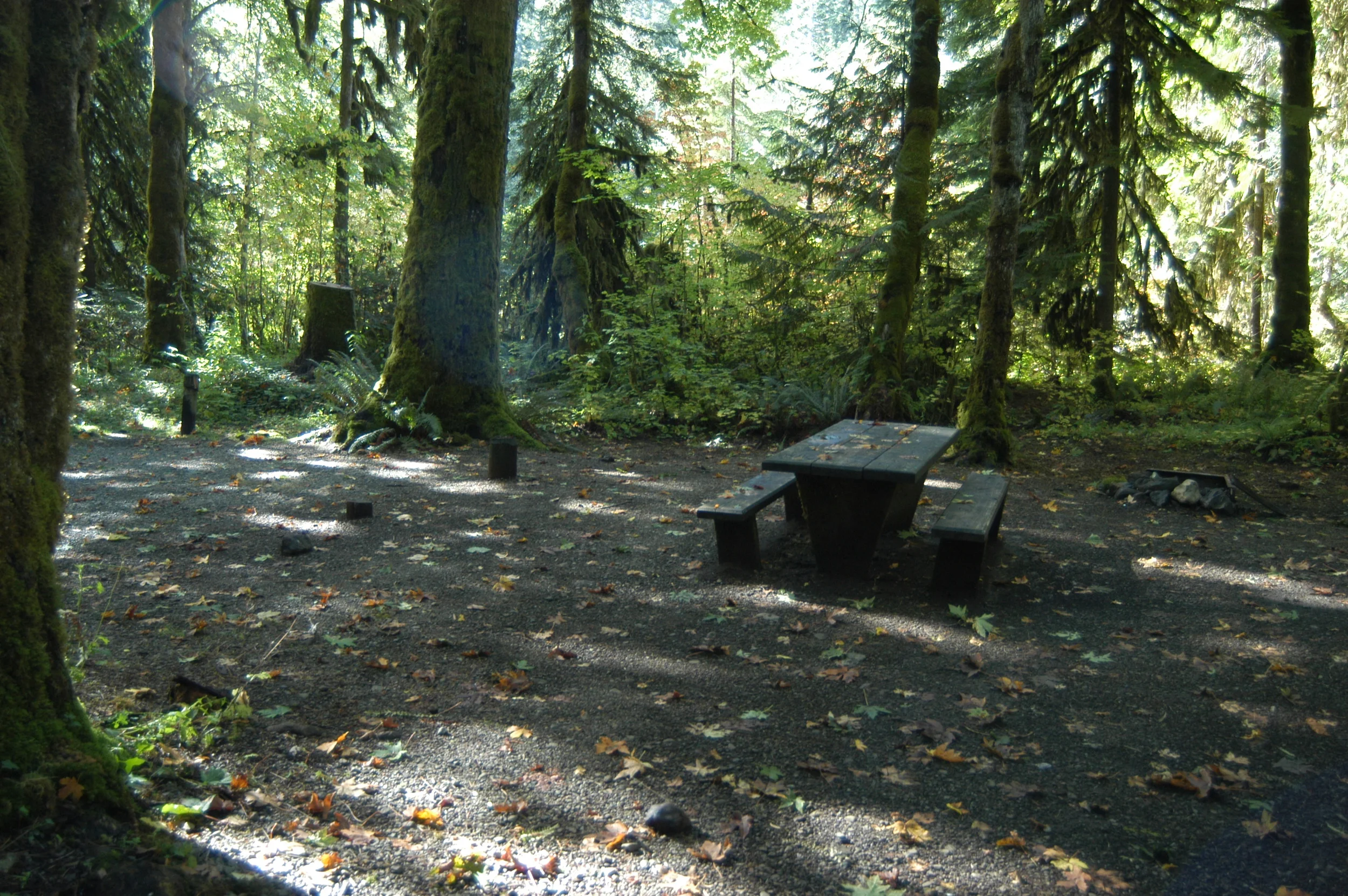 Hamma Hamma Campground