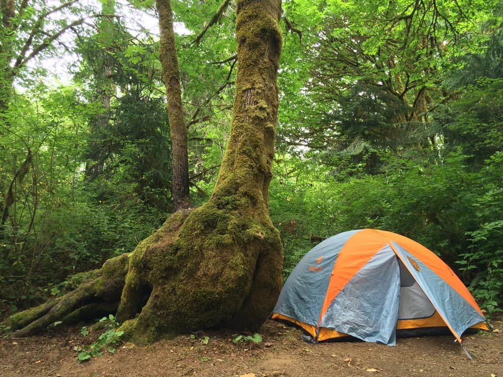 Schafer State Park
