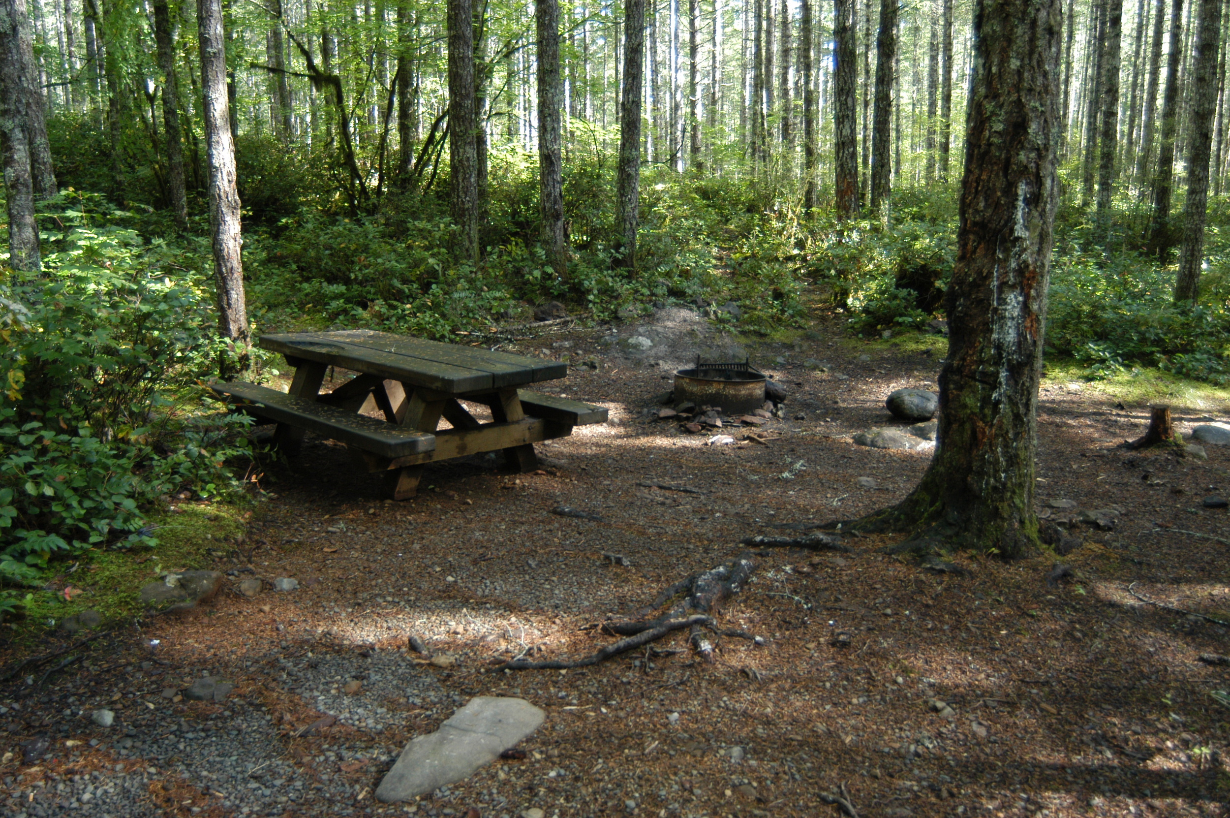 Big Creek Campground