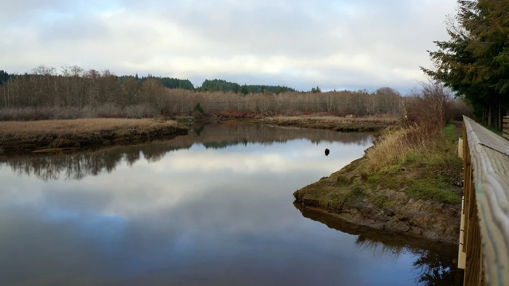 Theler Wetlands