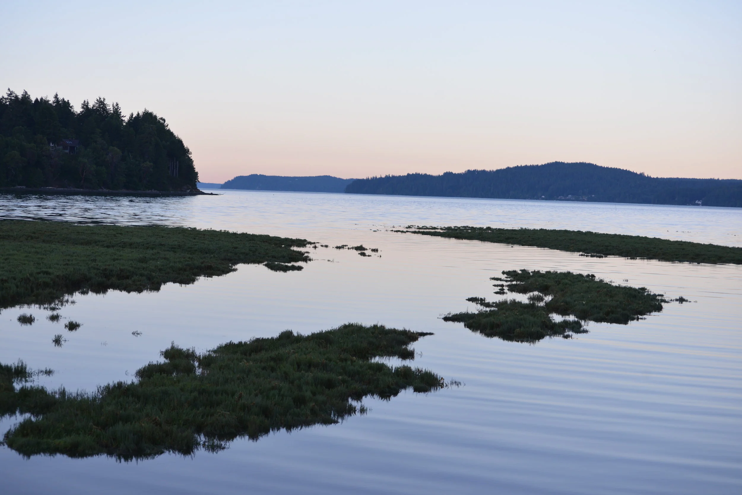DSC_4484.jpg