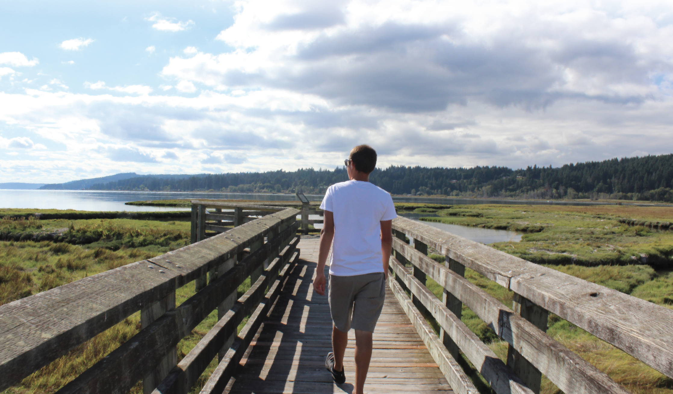 Hood Canal's Spectacular Birding Sights: Theler, Twanoh, &amp; Potlatch