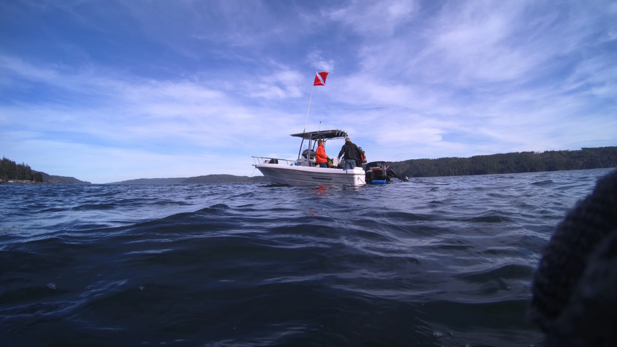 Dive into the Fjord