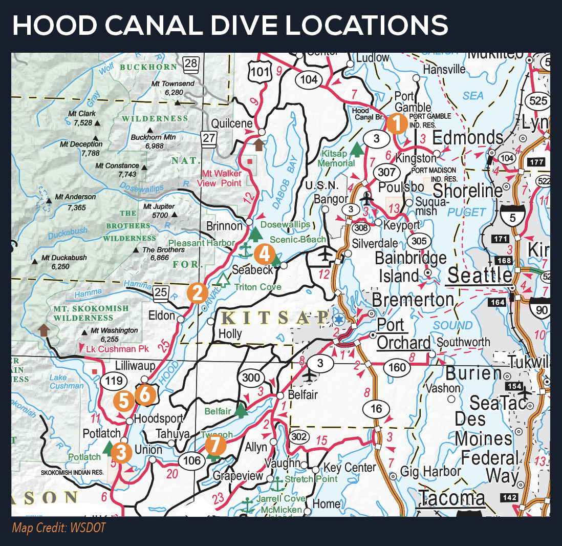 Dive into the Fjord — Explore Hood Canal