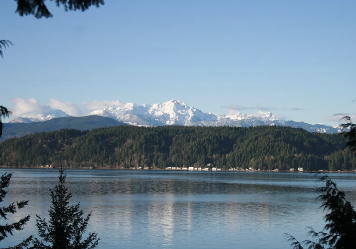 Hood Canal View Beachfront Cabin