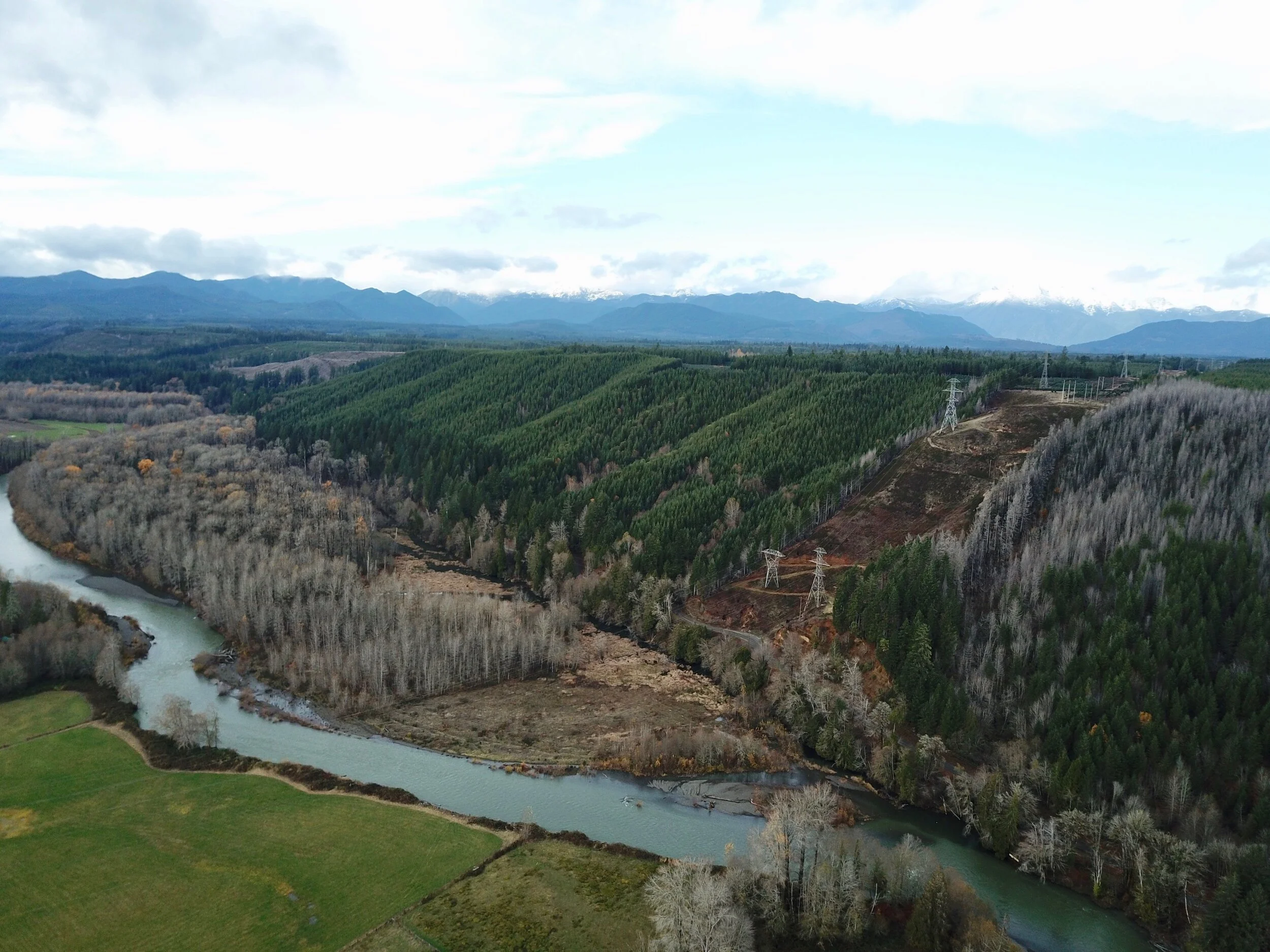 Weather or Not | Predicting your day  on Hood  Canal