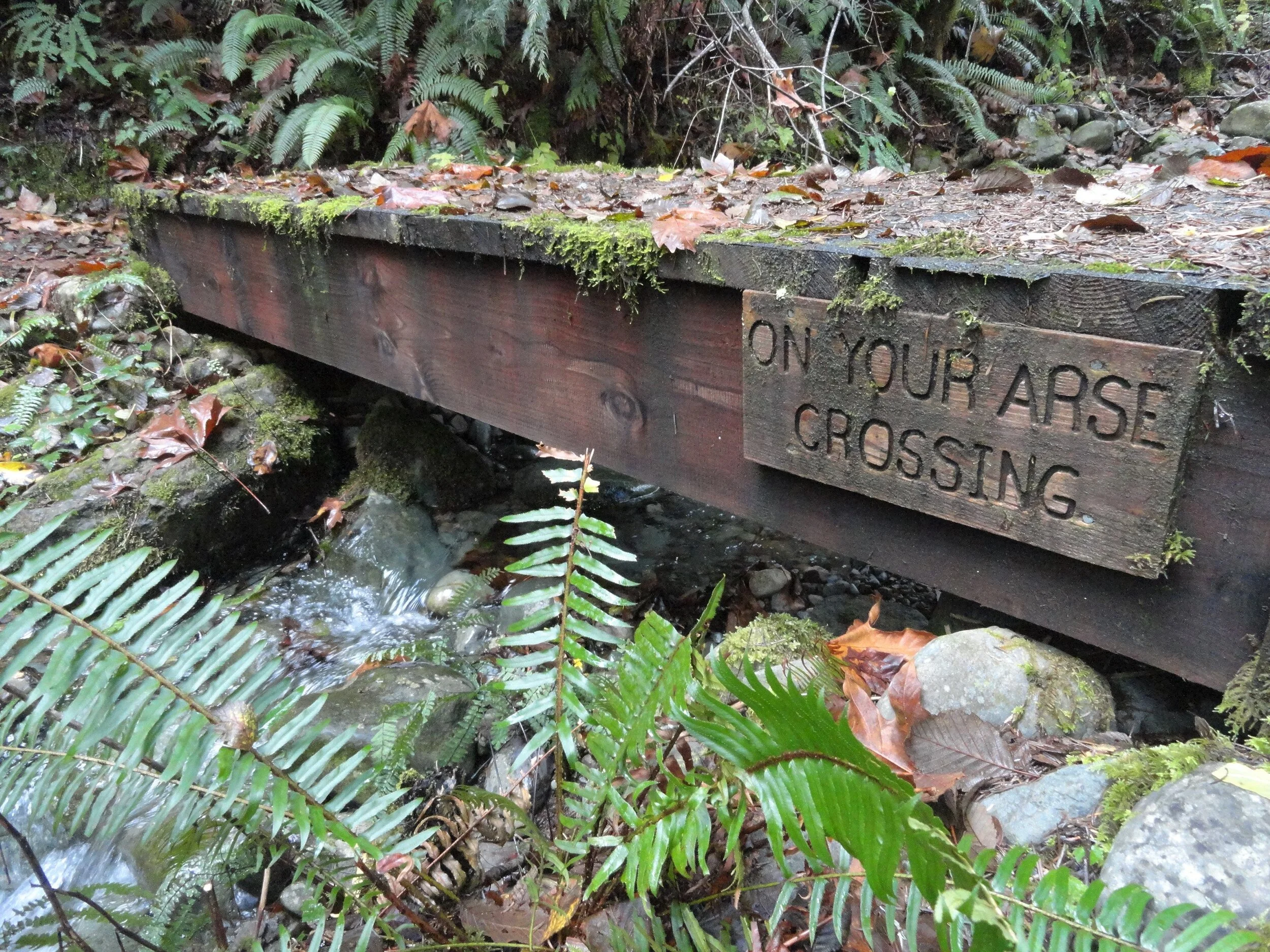 Photo Credit: Craig Romano