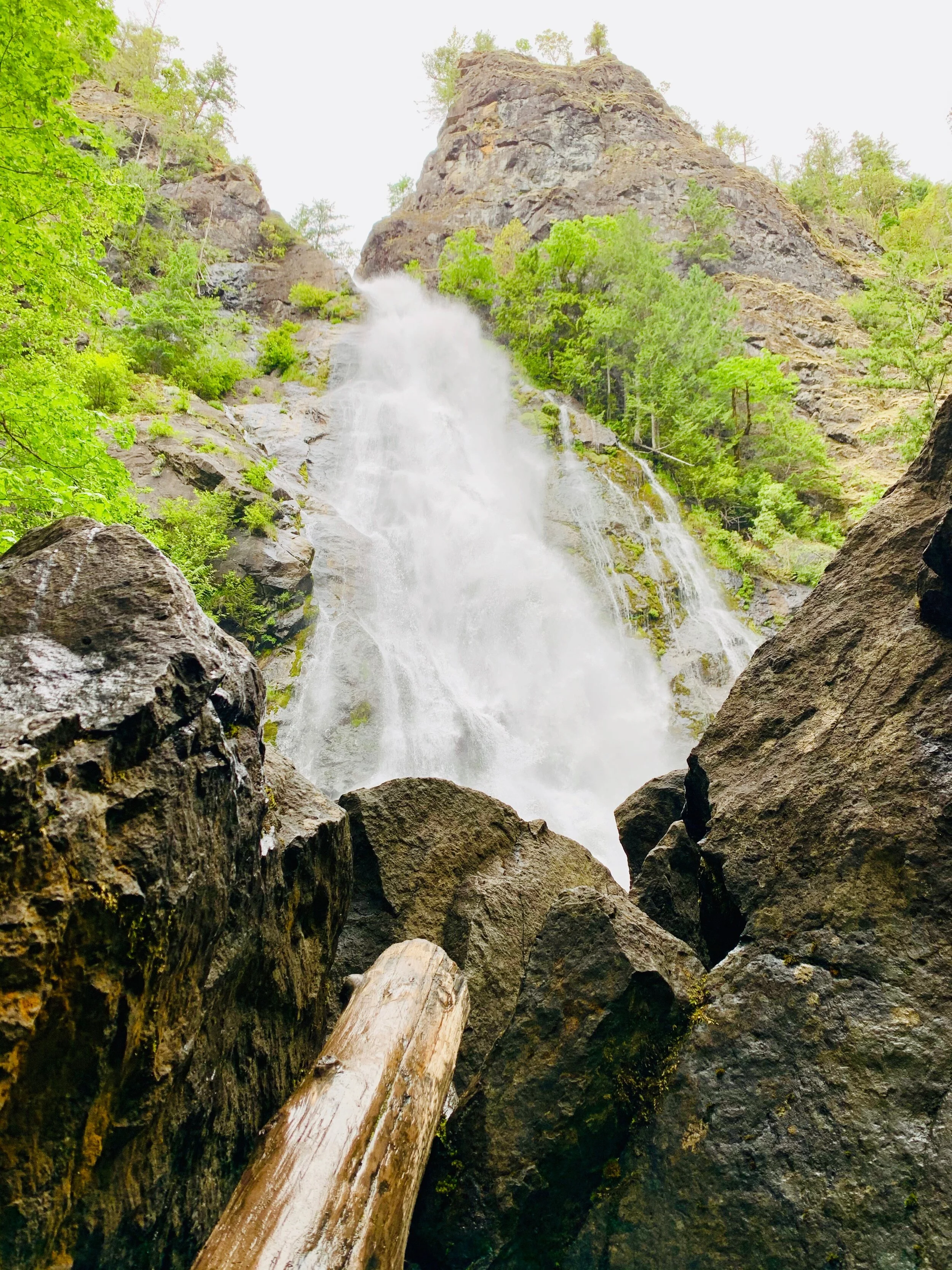 Rocky Brook Falls |  From Brinnon at Milepost 306 on US 101, drive west on the Dosewallips Road for 3 miles to parking in turnout on your left just after bridge over Rocky Brook