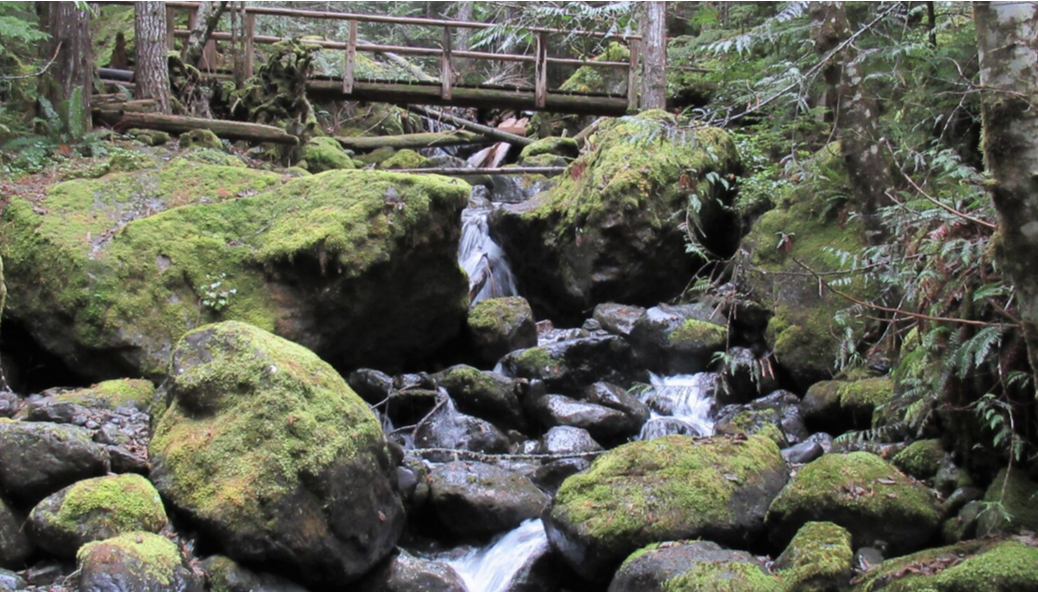 Big Creek Cascades