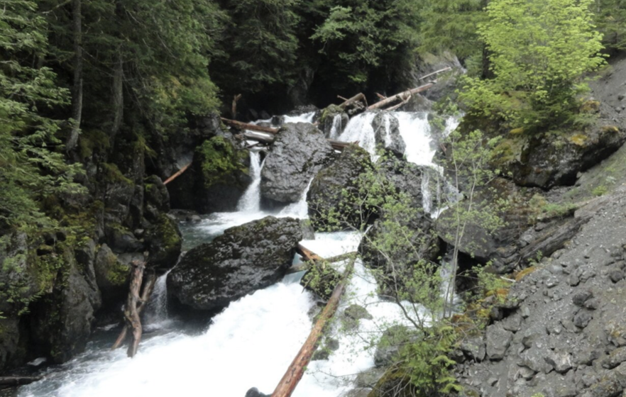 Dosewallips Falls