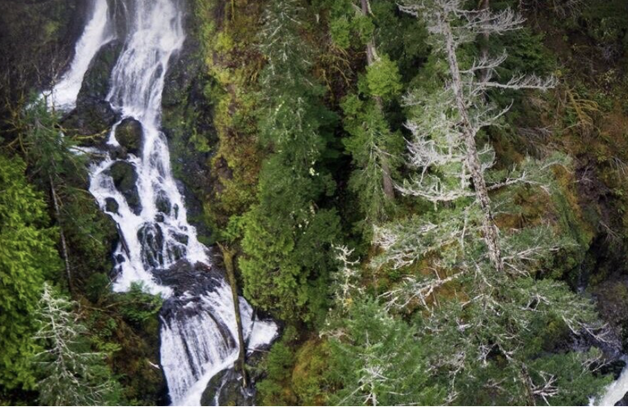 Vincent Creek Falls