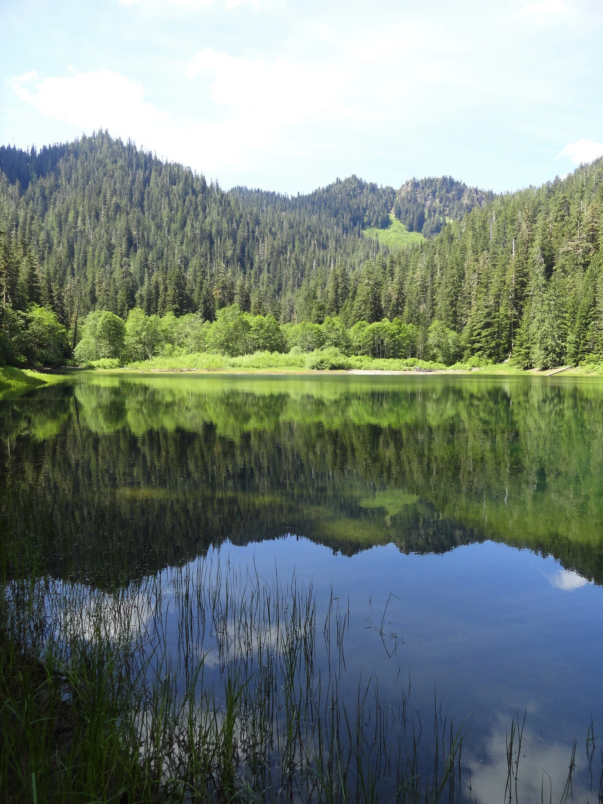 A Quiet trek to Pine Lake