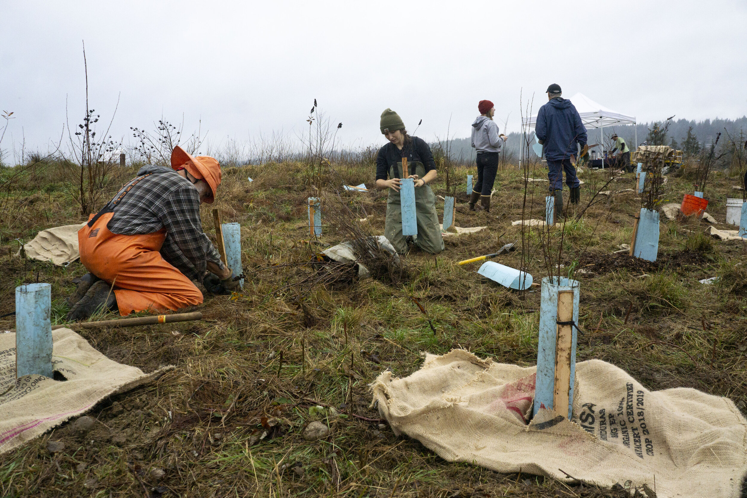 Do the dirty work to protect and preserve 