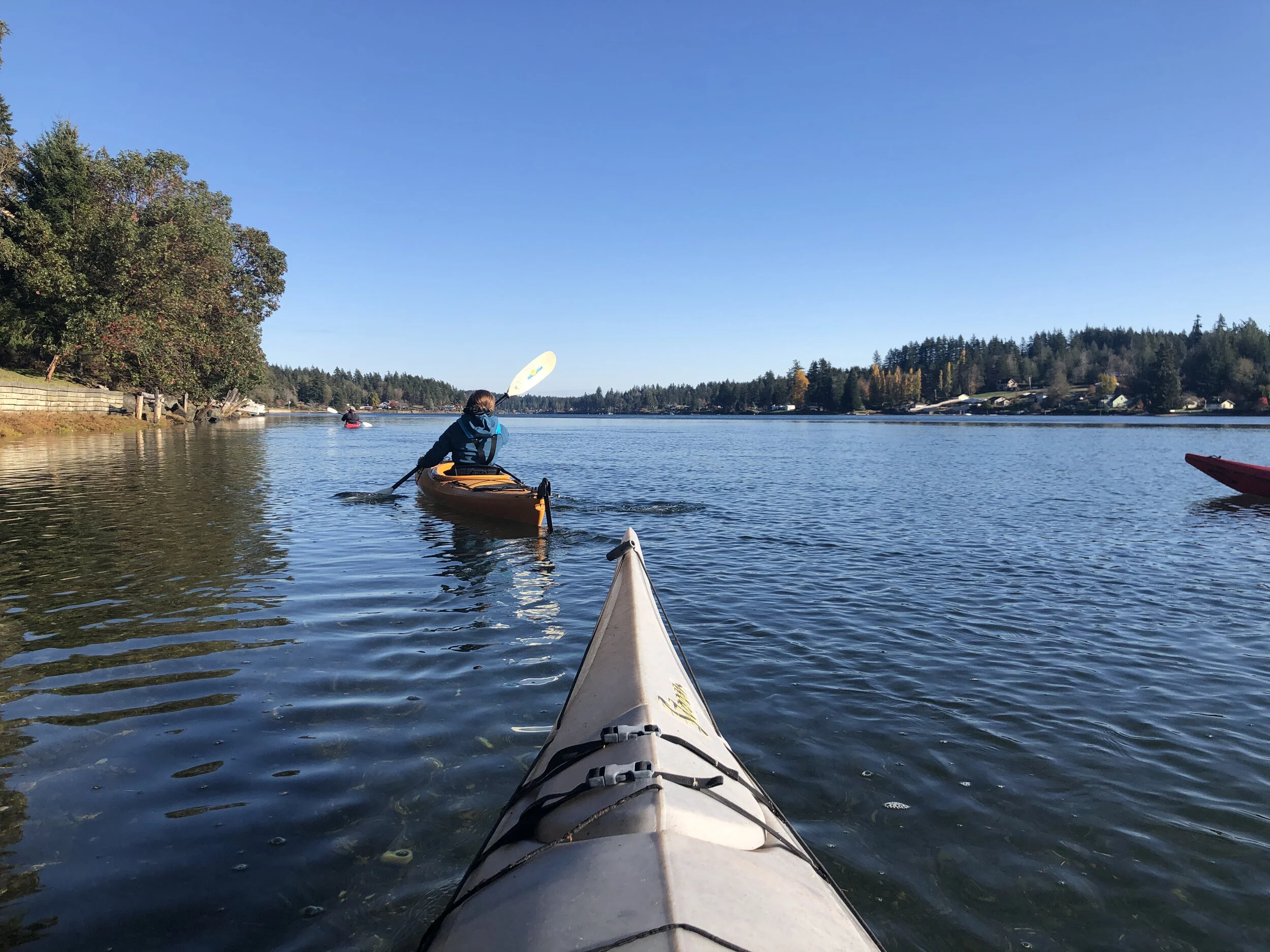 Hammersley paddling race, kayak workshop &amp; SUP clinic 