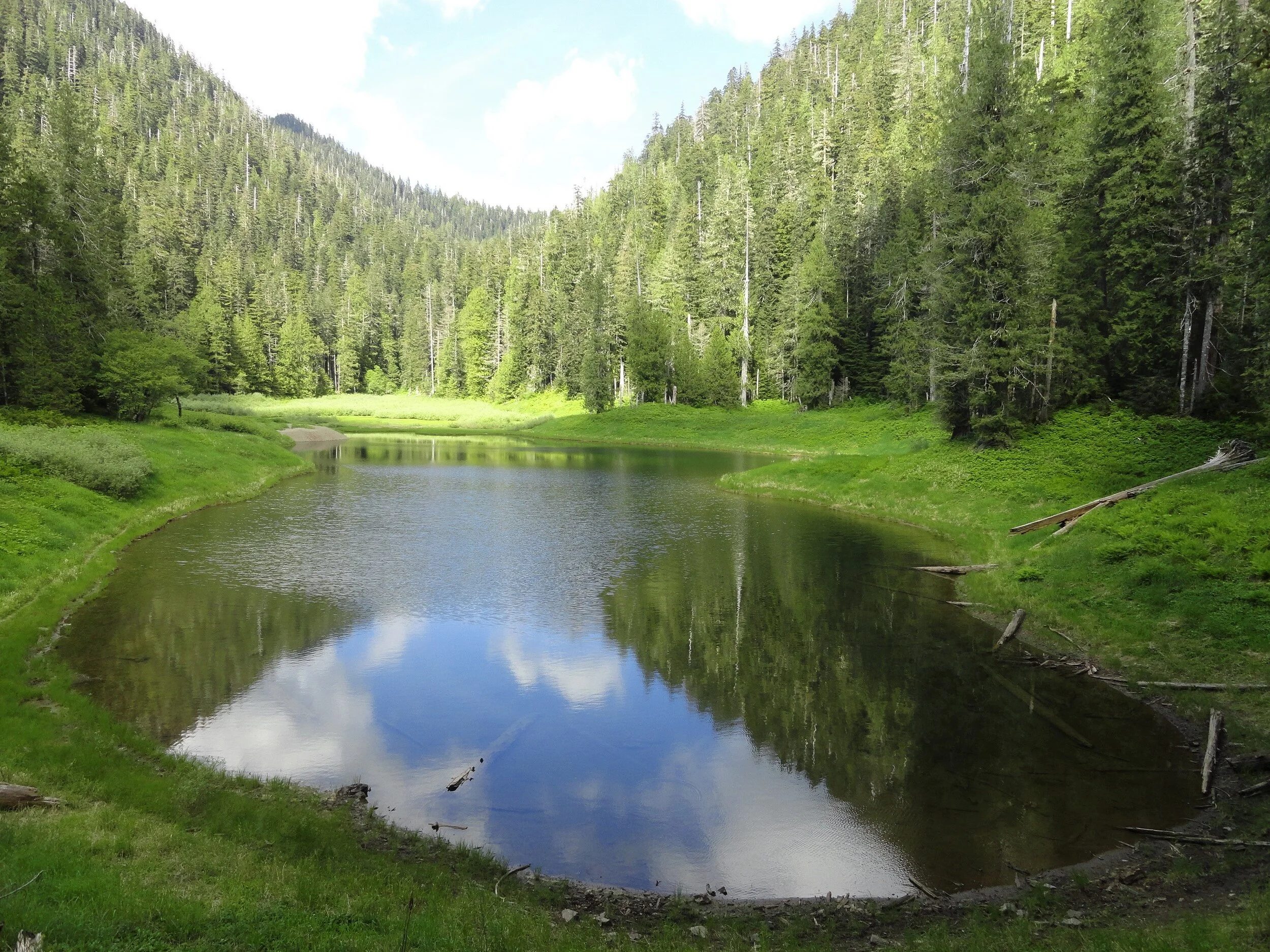 Satsop Lakes via Church Creek