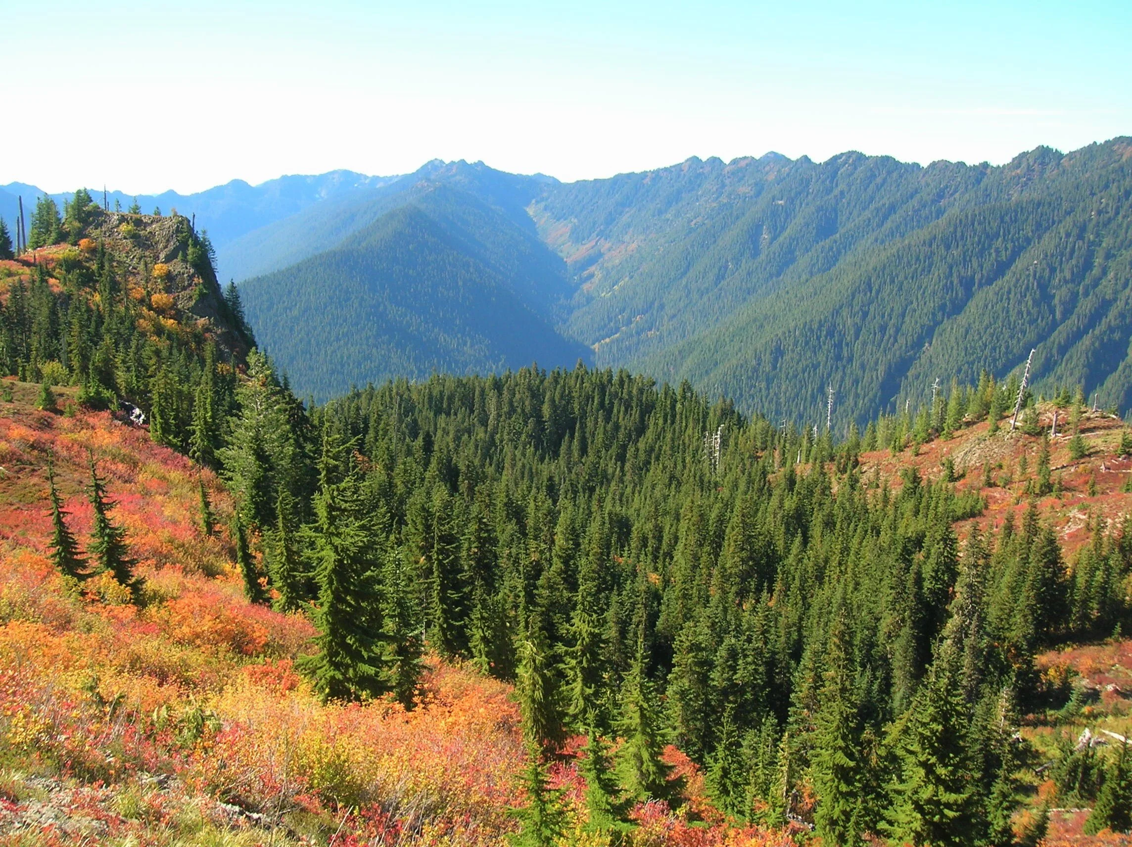 An Autumn Trek to Black and White Lakes