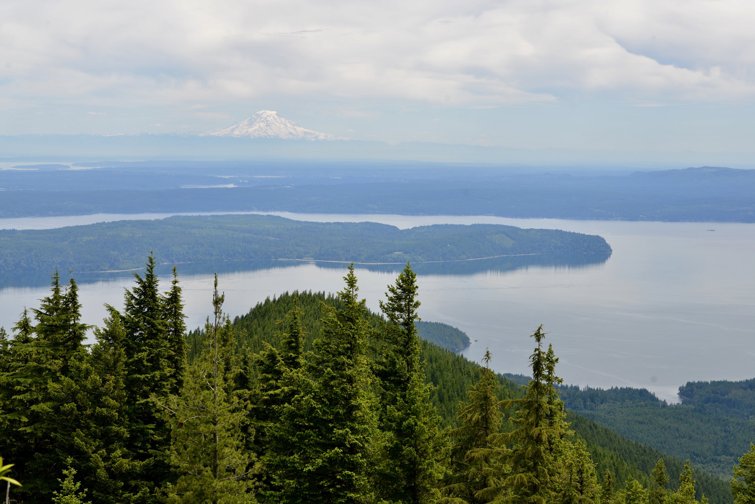 Head to the Mount Walker Summit