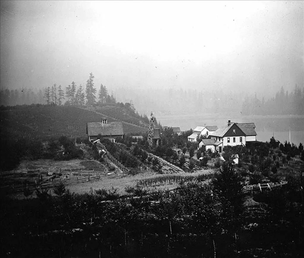 A Case Study of  Islands in the Inlet