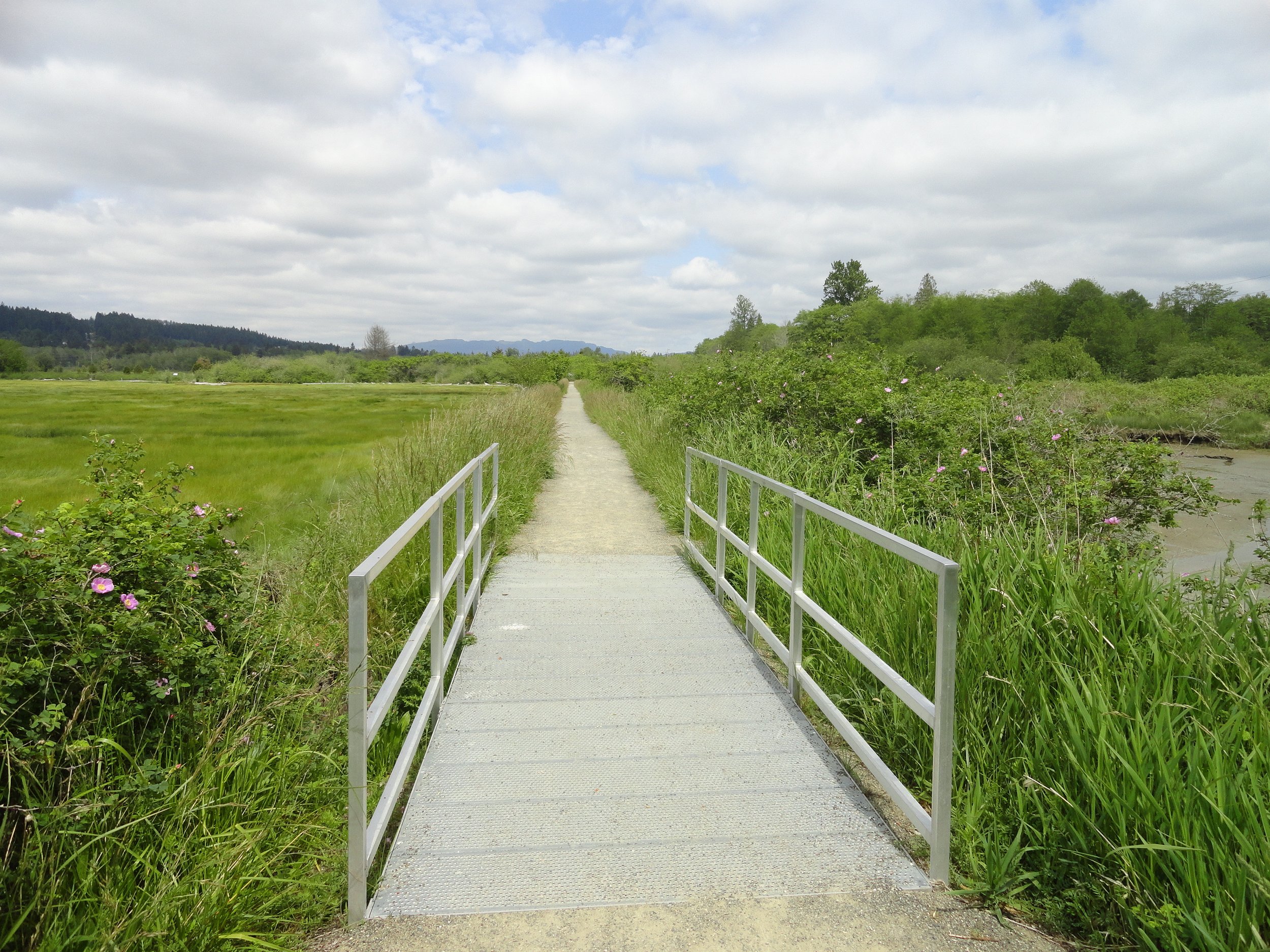 01.A Theler Wetlands.JPG