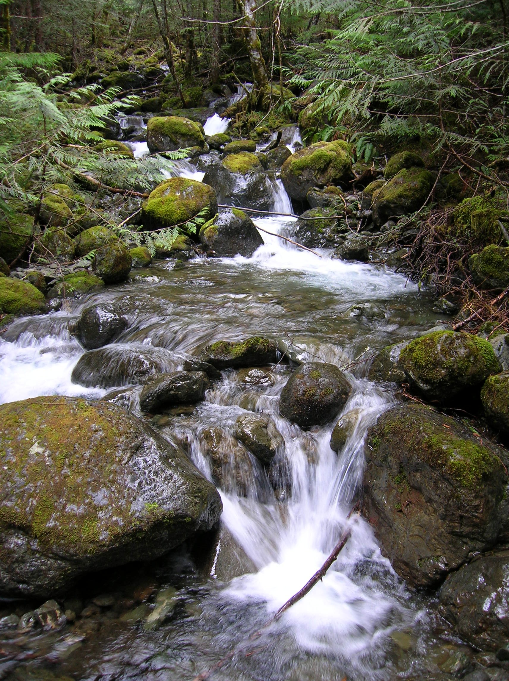 11.A Big Creek Loop.JPG