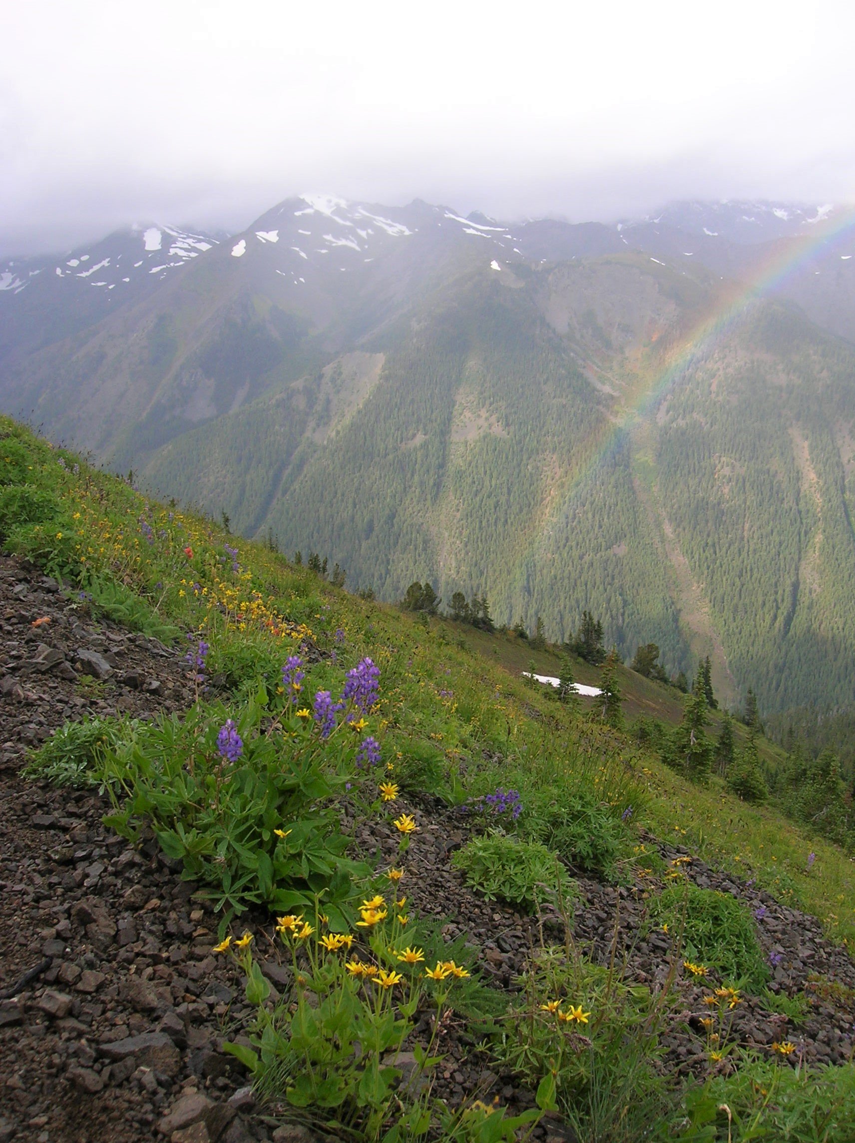 24.B Marmot Pass.JPG