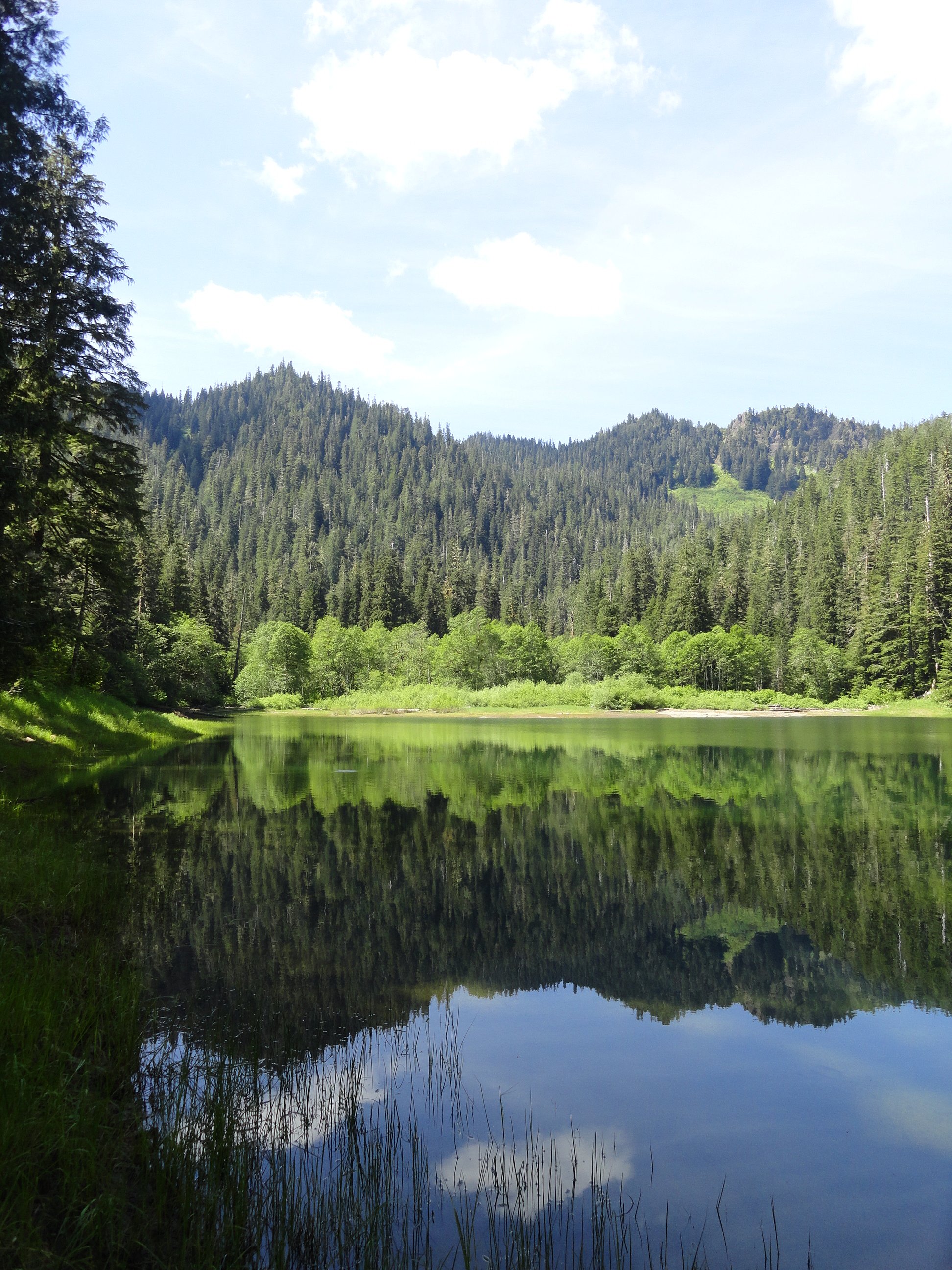 08.A Pine Lake.JPG