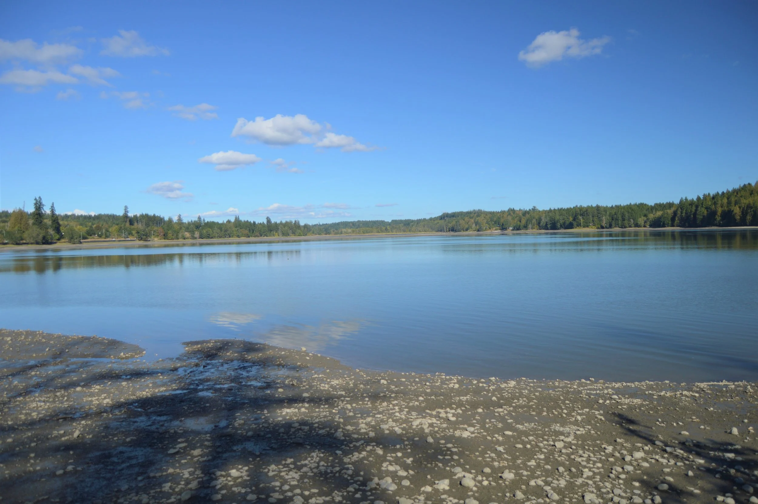 Second Saturdays at Bayshore: Salt Marshes & Low Tide Exploration