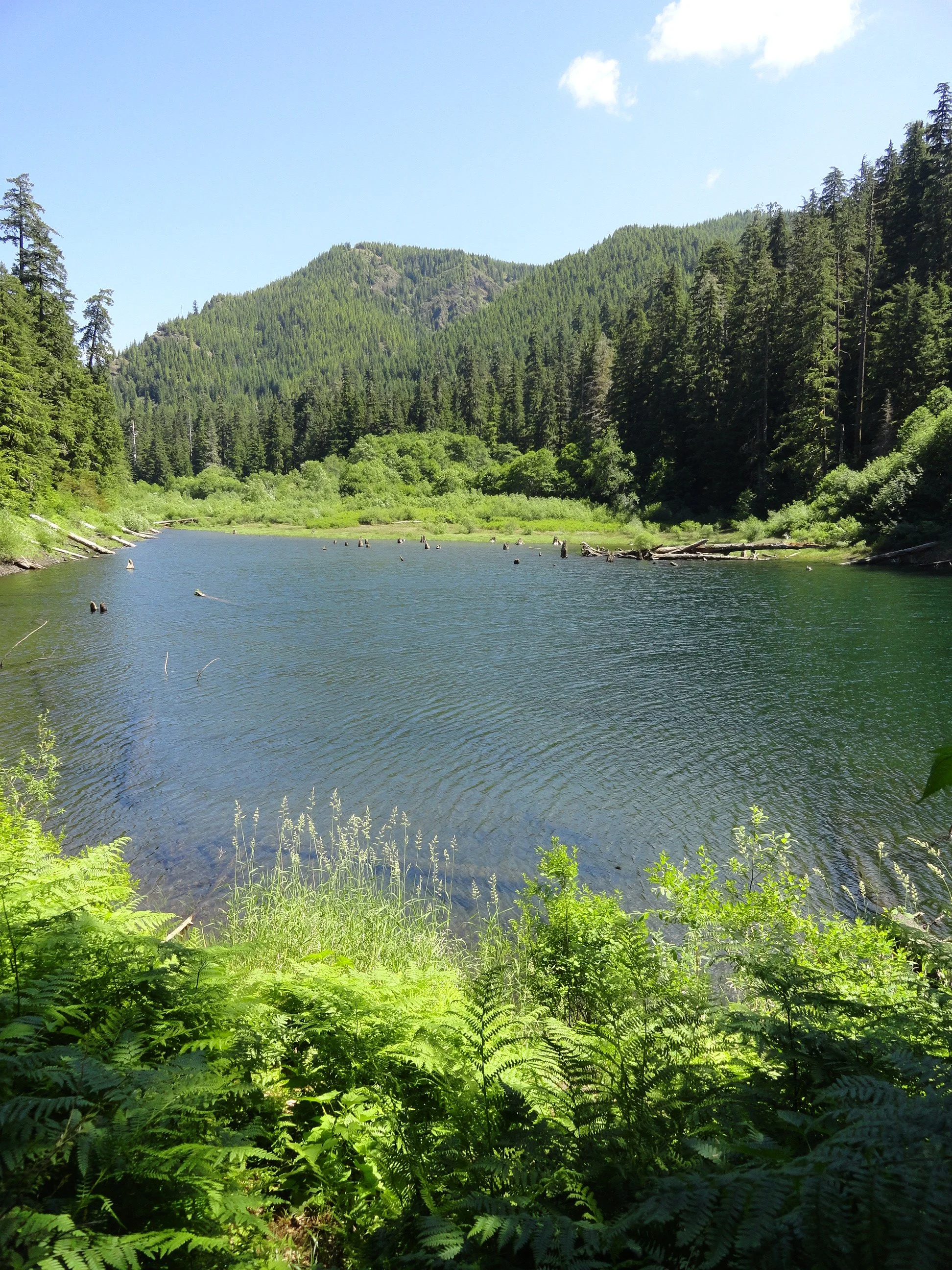 DSC04226.JPG