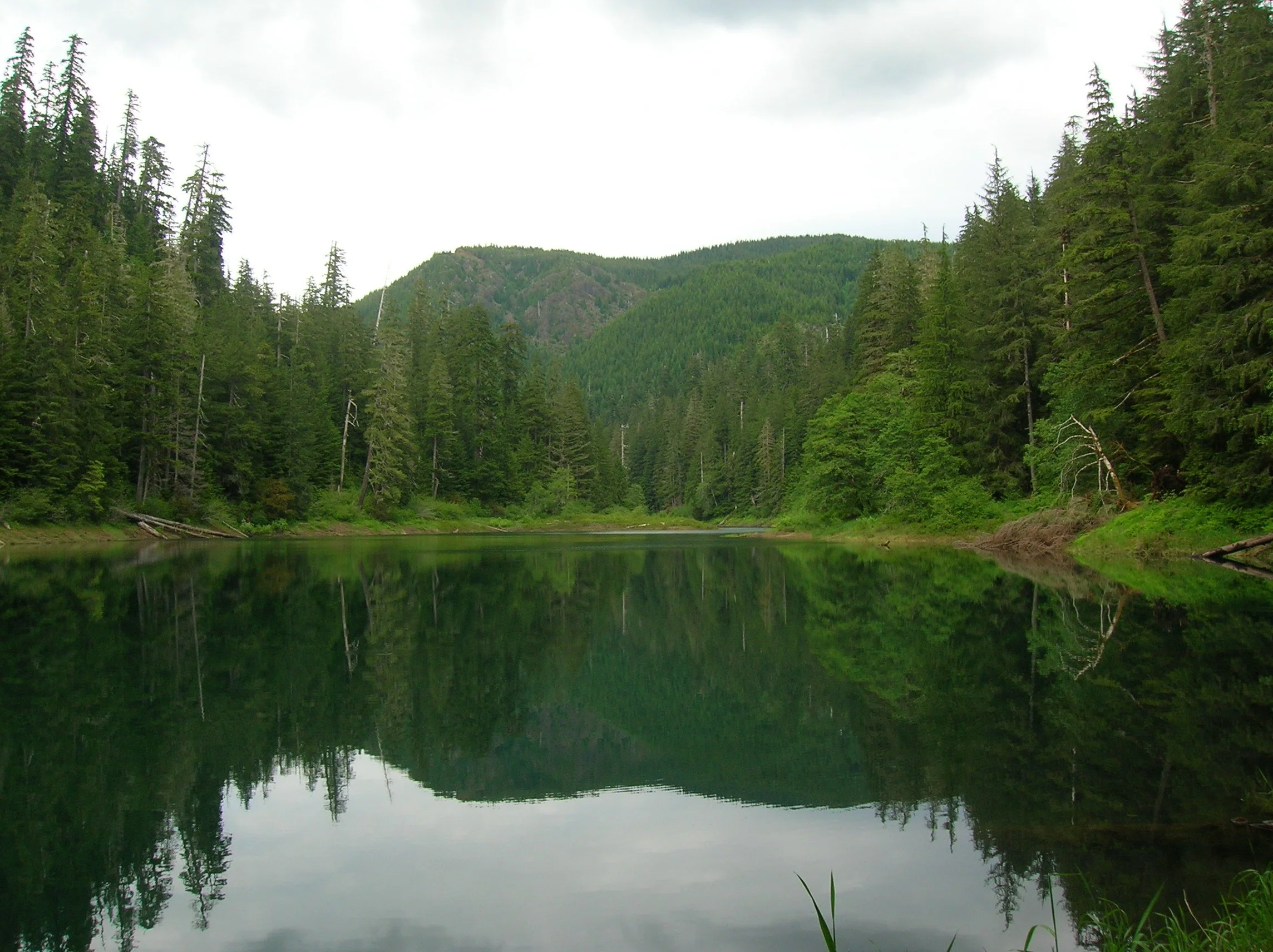 DSCN7557.JPG