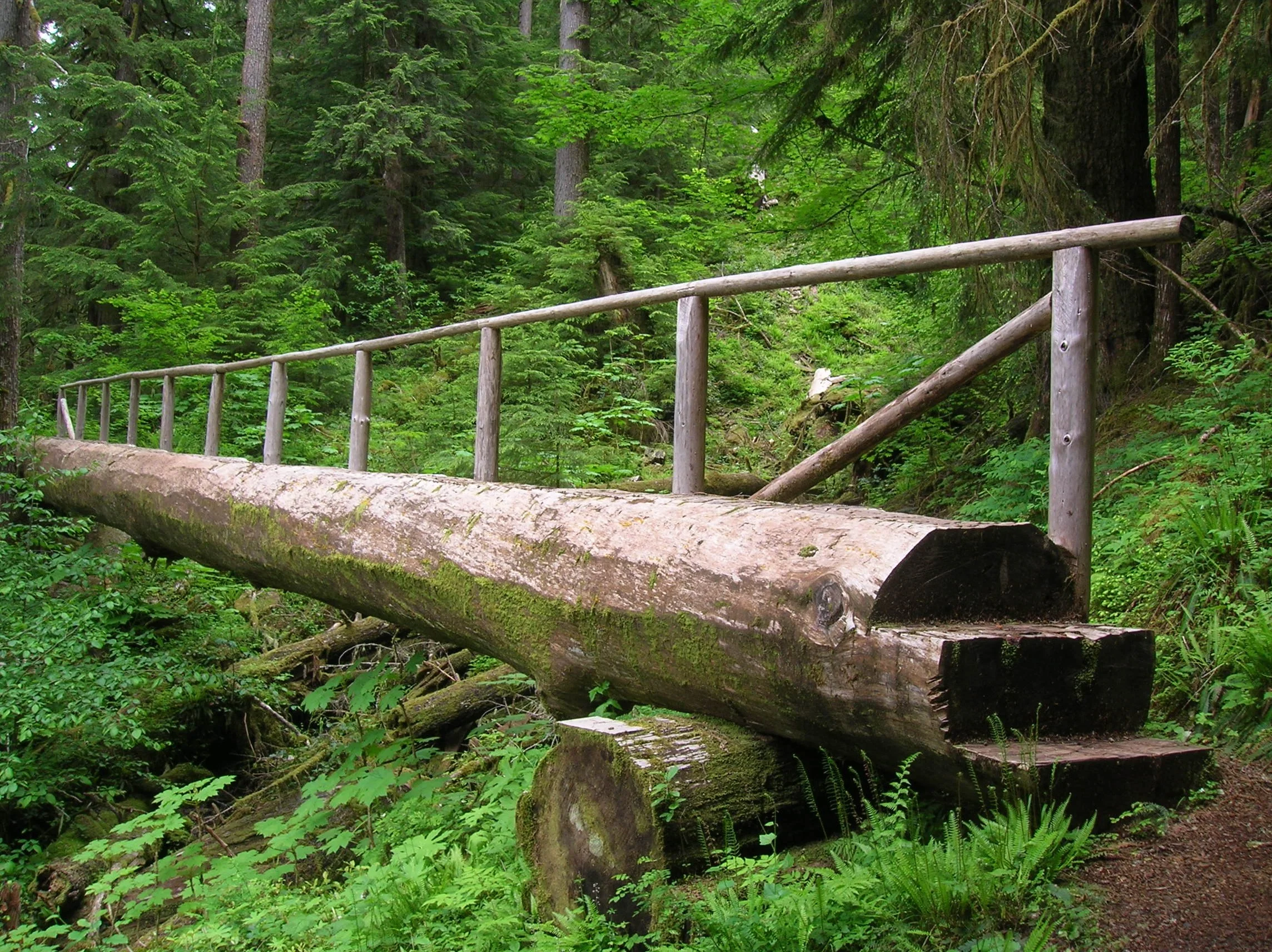 DSCN7558.JPG