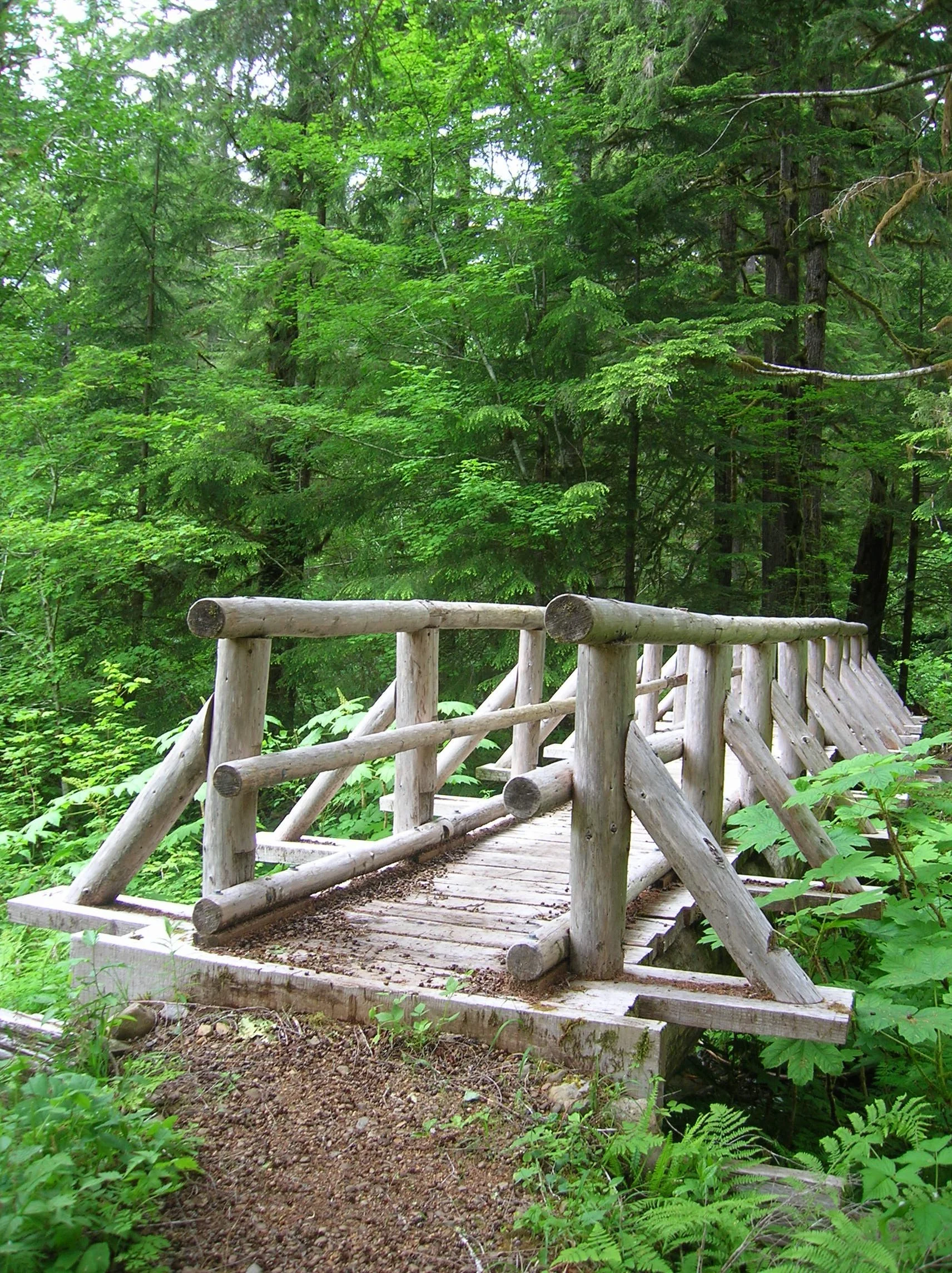 DSCN7560.JPG