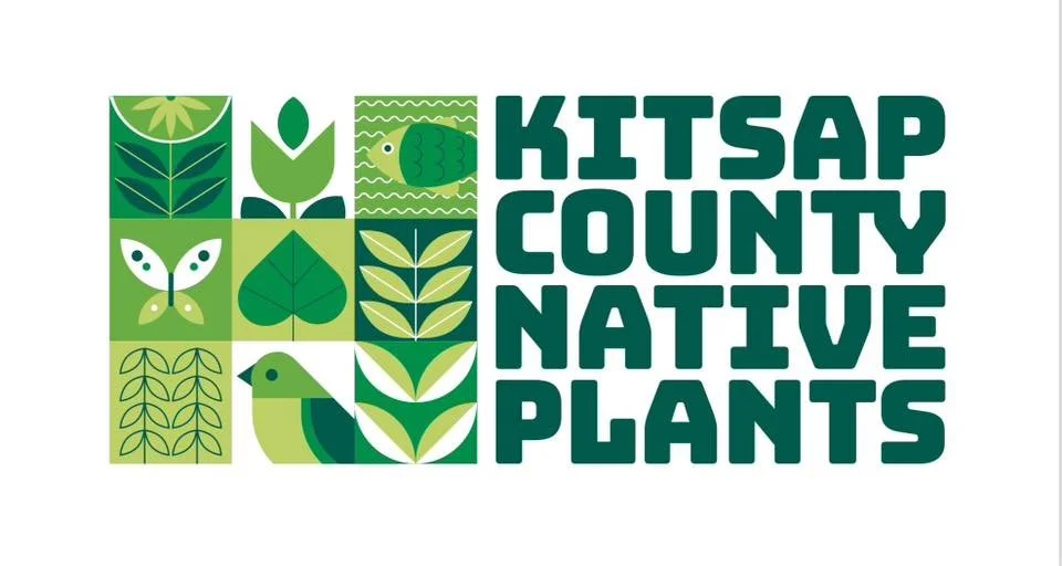 Guided Forest Walk at Twanoh State Park