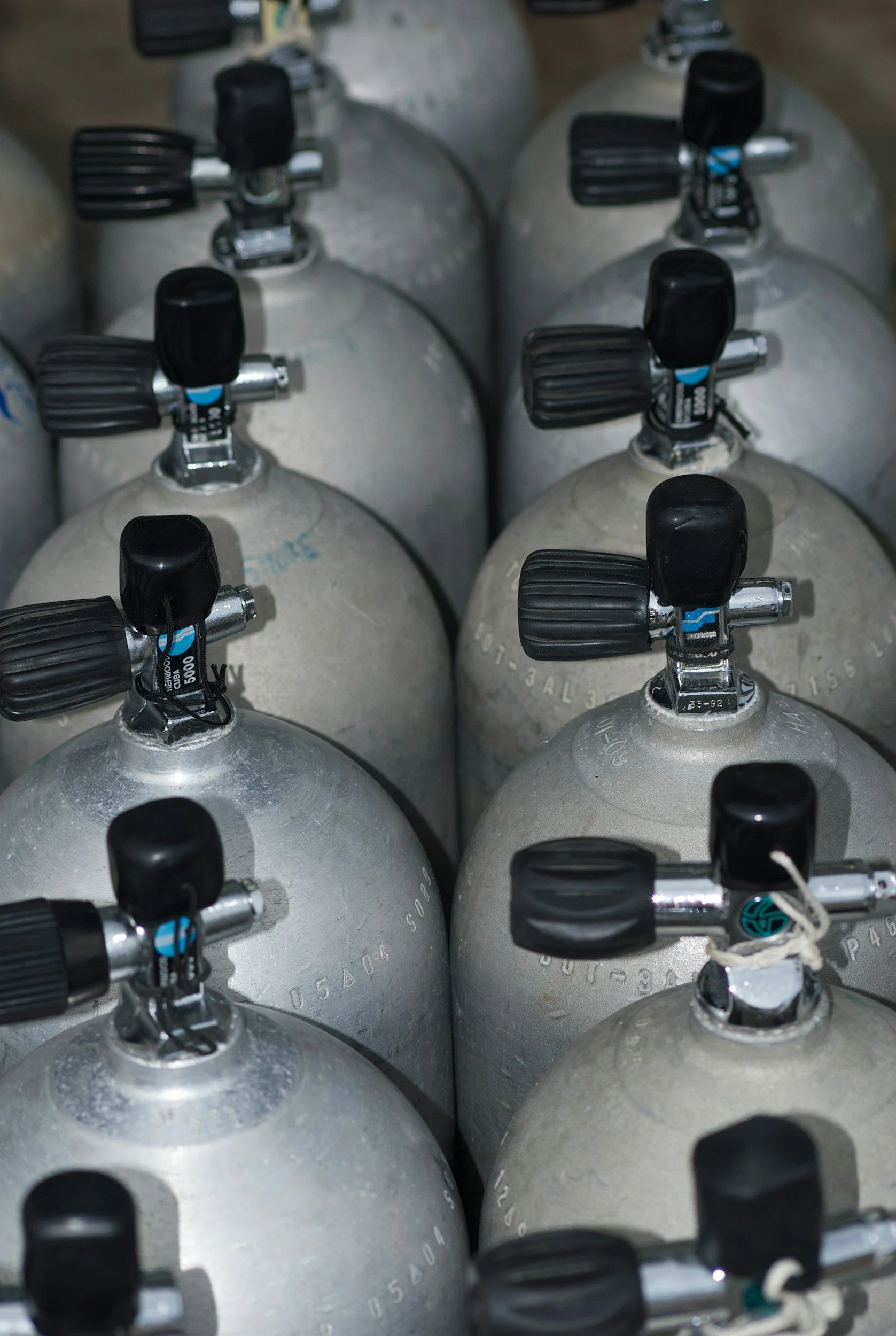 Paint and Sip Scuba Tank!