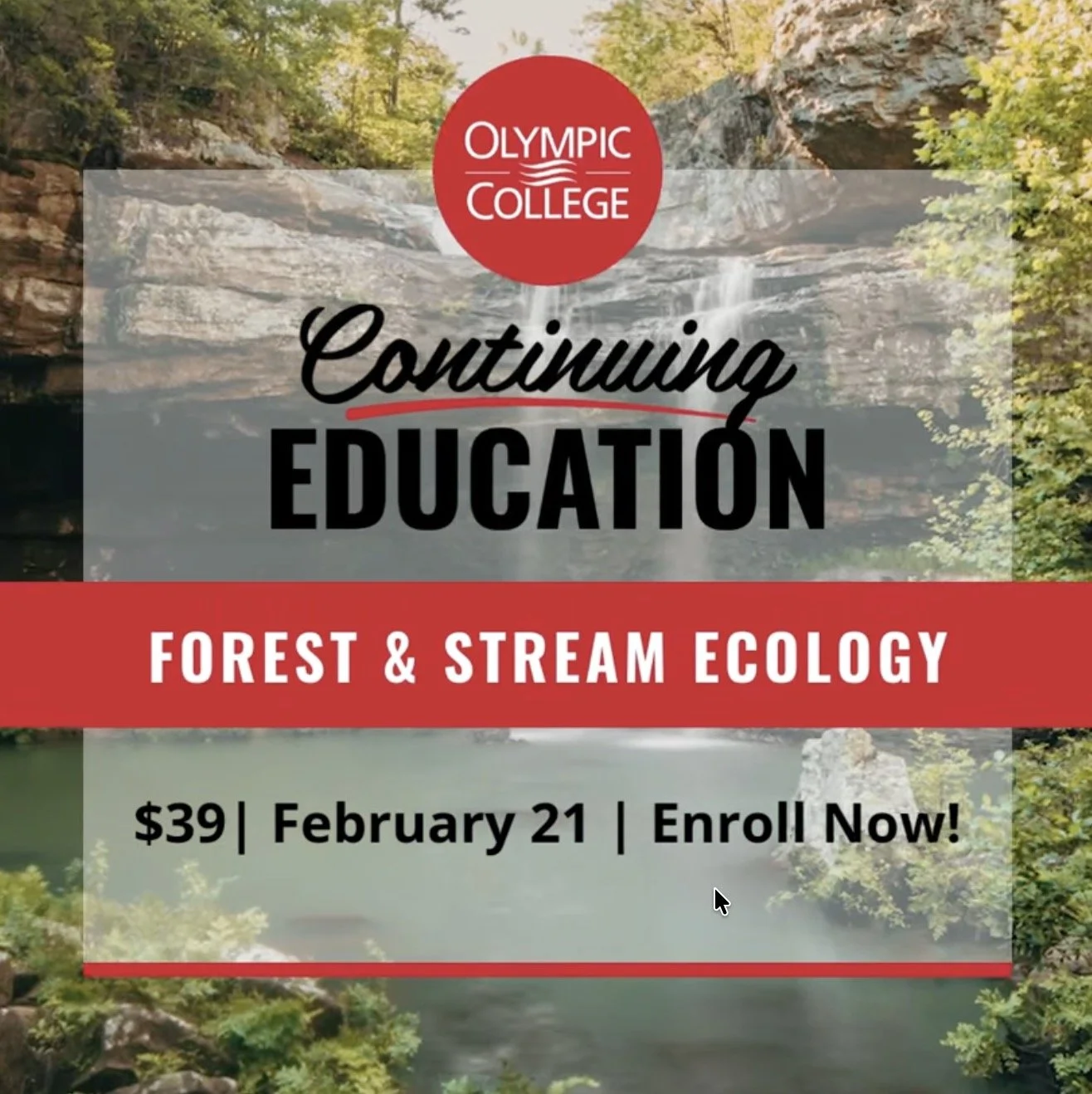 Guided Hood Canal Ecology Hike