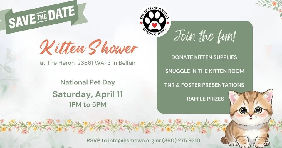HSMC Kitten Shower | Humane Society of Mason County