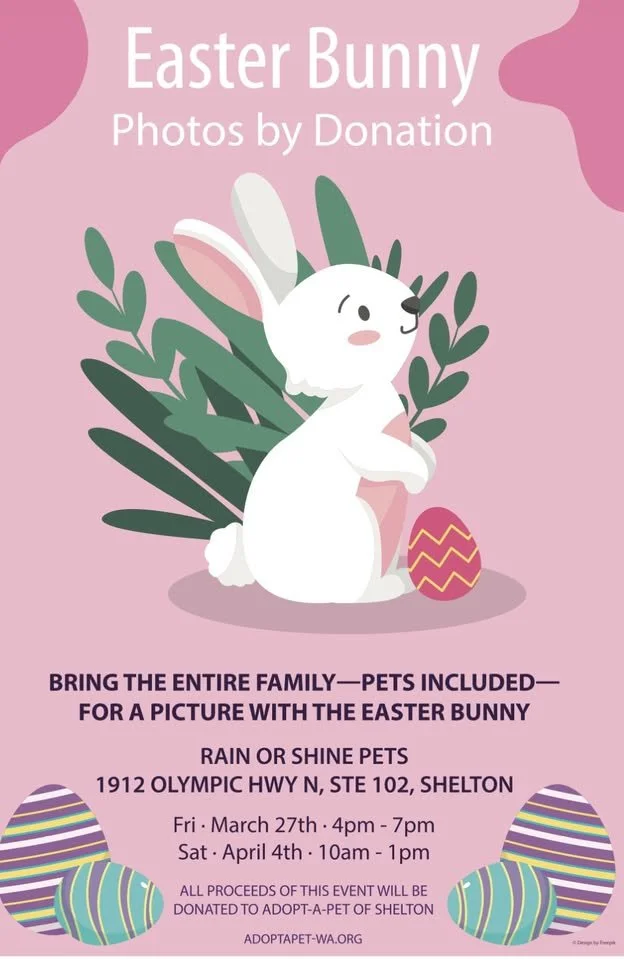 Easter Bunny Photos Benefitting Adopt-A-Pet | Rain Or Shine Pets