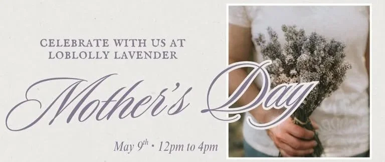 Mother's Day Celebration & Plant Sale at Loblolly Lavender