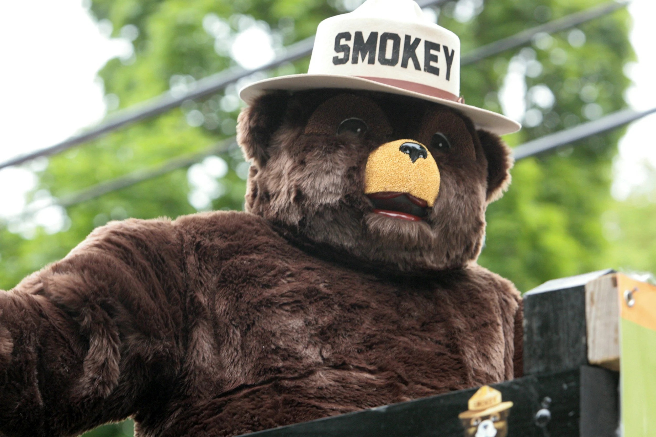 Potlatch State Park: The Story of Smokey Bear