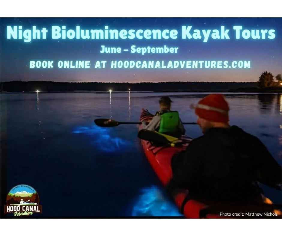 Bioluminescence / Night Kayaking Tour