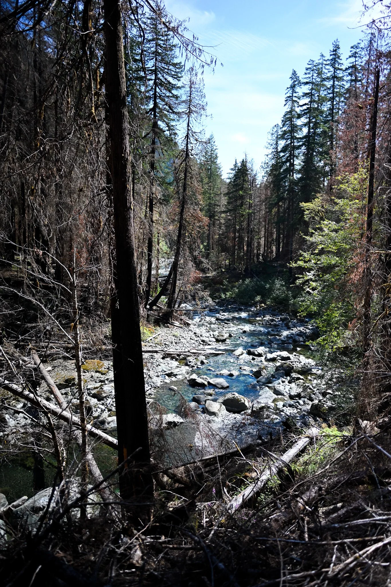 DSC_3996.jpg