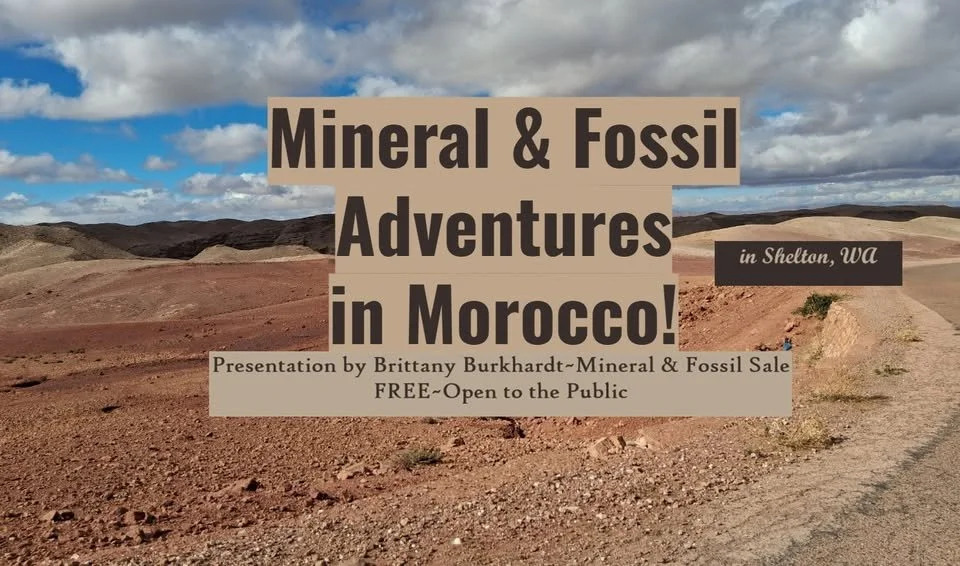 Geo-Adventures in Morocco Presentation and Sale (Shelton)