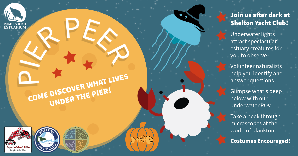 Pier Peer at Shelton Yacht Club: Costumes Encouraged!
