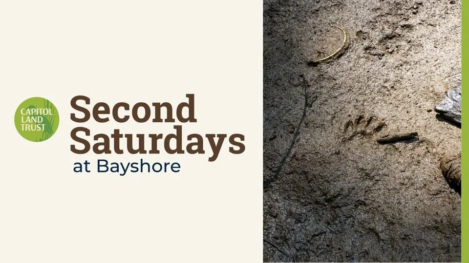 Second Saturdays: Fungi of Bayshore